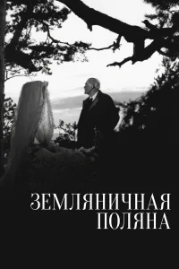  Земляничная поляна 